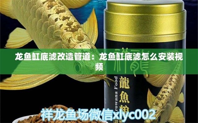 龙鱼缸底过滤改造（如何改造龙鱼缸底过滤） 龙鱼百科 第2张