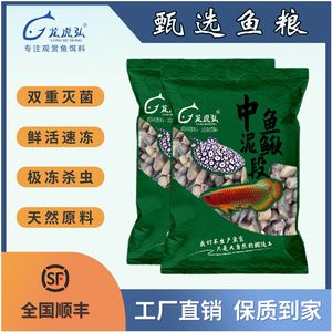 龙鱼应该喂食麦穗鱼还是丁鱼？（麦穗鱼可以喂养龙鱼吗？）