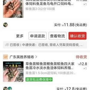 龙鱼退框后多久恢复（关于“龙鱼退框后多久恢复”这一问题并没有直接相关的答案） 龙鱼百科 第2张