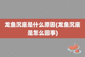 龙鱼突然安静的游动（龙鱼突然安静的游动可能由多种因素引起，可能由多种因素引起） 龙鱼百科 第4张