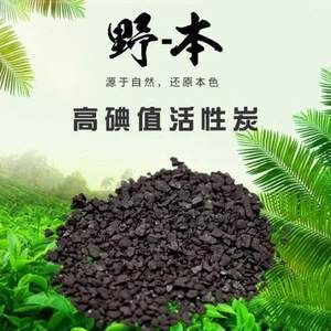 龙鱼能用活性炭吗（龙鱼缸使用活性炭需要注意什么） 龙鱼百科 第3张