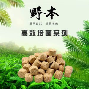 龙鱼用生化环好吗（生化环对于龙鱼缸来说是一个有效的滤材选择） 龙鱼百科 第3张