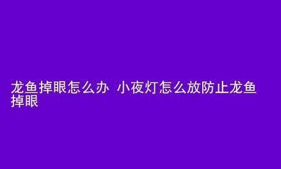 龙鱼夜灯放在什么位置（关于龙鱼夜灯的最佳摆放位置） 龙鱼百科 第1张