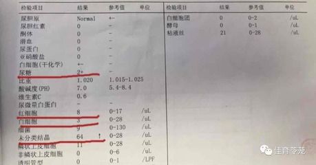 龙鱼硝酸盐安全值（龙鱼硝酸盐安全值控制） 龙鱼百科 第4张