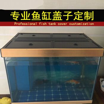 龙鱼鱼缸水面距鱼缸盖高度（龙鱼鱼缸水面距鱼缸盖的高度） 龙鱼百科 第1张