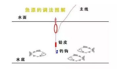 龙鱼一直漂在水面（龙鱼一直漂在水面怎么办） 龙鱼百科 第4张