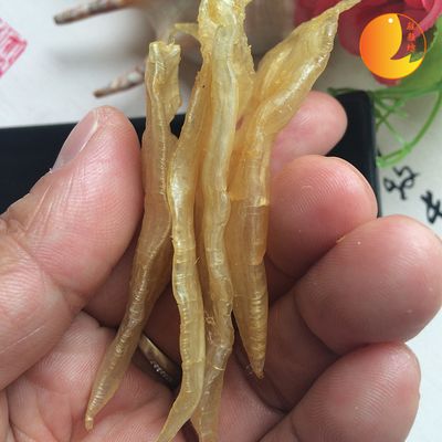 如何判断小金龙鱼胶真假（如何辨别小金龙鱼胶的真伪） 龙鱼百科 第3张