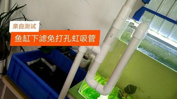 上滤鱼缸可以养龙鱼吗（上滤鱼缸可以用来养龙鱼吗） 龙鱼百科 第5张