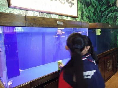 祥龙鱼场有限公司官网天津（天津水族批发市场祥龙鱼场地址查询） 龙鱼百科 第4张