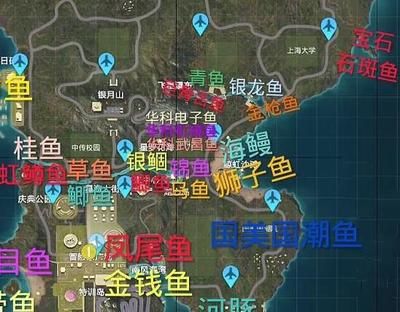 银龙鱼2023市场价（2023年银龙鱼价格概况） 龙鱼百科 第4张