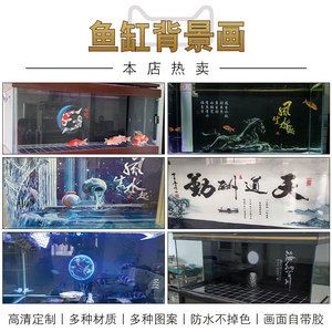 王龙鱼缸价格（王龙鱼缸价格可能高达￥16880.0） 龙鱼百科 第5张