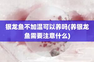 银龙鱼多少度会冻死（银龙鱼在水温低于18℃至20℃时可能会面临死亡的风险） 龙鱼百科 第1张