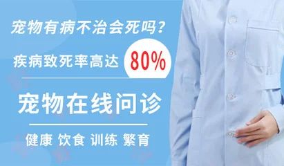 养的龙鱼死了是直接扔掉还是？（当龙鱼死亡时，不应直接扔掉死鱼，这些方法不仅能防疾病传播） 龙鱼百科 第3张