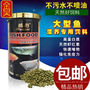 银龙鱼吃虾红素（银龙鱼吃虾红素吗） 龙鱼百科 第4张