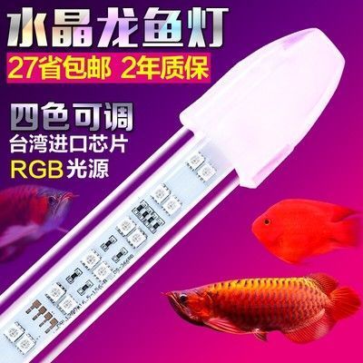 养龙鱼用led灯好还是nec灯好（养龙鱼时选择使用led灯还是nec灯主要取决于您对灯光效果等方面的考虑） 龙鱼百科 第2张