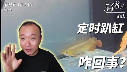 养龙鱼犯不犯法（养银龙鱼是否违法） 龙鱼百科 第1张