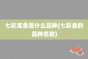 银龙鱼可以变成七彩鱼吗（银龙鱼可以变成七彩鱼吗？） 龙鱼百科 第4张