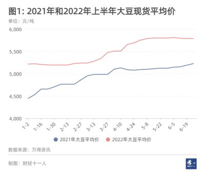 养金龙鱼成本高吗（养金龙鱼的成本） 龙鱼百科 第5张