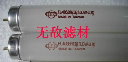 养了4年的红龙鱼怎么不红（养了4年的红龙鱼不红可能涉及多个方面的原因是什么） 龙鱼百科 第4张