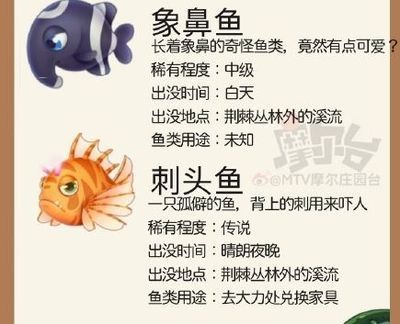 银龙鱼林,银龙鱼鳞片起黑点是怎么回事（银龙鱼鳞片起黑点可能是由多种因素引起的） 龙鱼百科 第1张