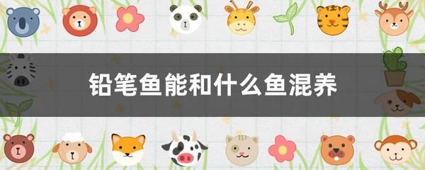 银龙鱼能和蓝鲨混养吗 龙鱼百科 第3张