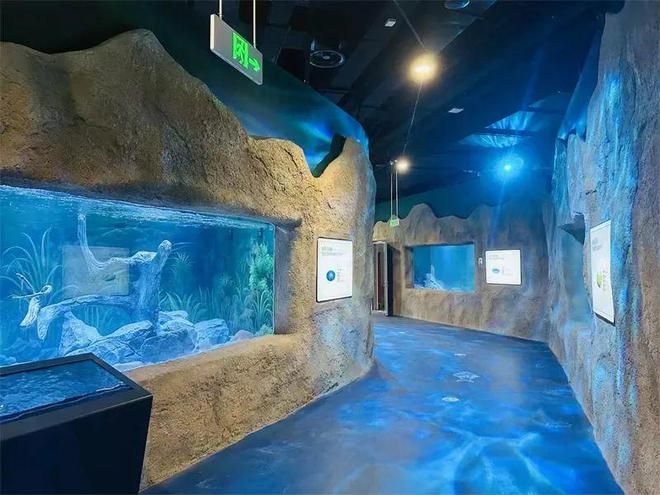 珠海香洲龙鱼水族馆地址在哪里（珠海龙鱼世家水族馆） 龙鱼百科 第1张