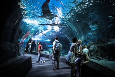 珠海香洲龙鱼水族馆地址在哪里（珠海龙鱼世家水族馆） 龙鱼百科 第2张