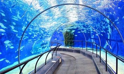 珠海香洲龙鱼水族馆地址在哪里（珠海龙鱼世家水族馆） 龙鱼百科 第3张