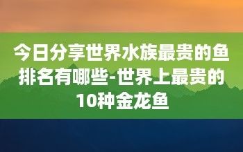 最贵的黄金龙鱼多少钱一条图片（最贵的黄金龙鱼价格可以达到580万元人民币） 龙鱼百科 第4张