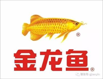 长春金龙鱼经销商（益海嘉里金龙鱼粮油食品股份有限公司所拥有的食用油品牌） 龙鱼百科 第5张