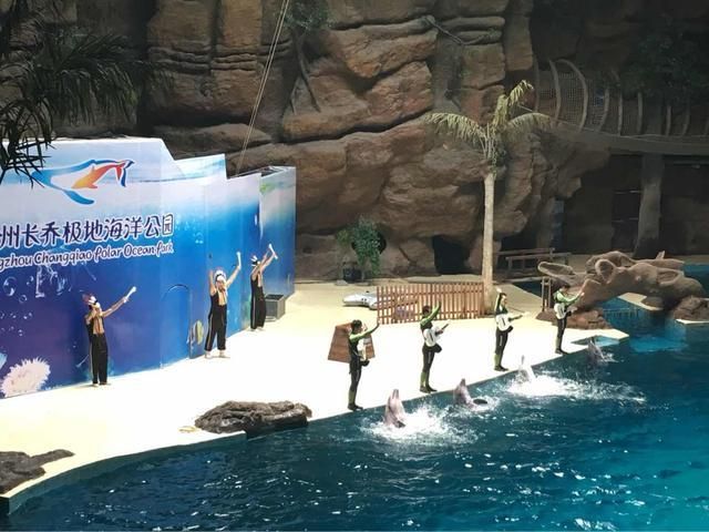 杭州水族馆vs祥龙鱼场（杭州水族馆和祥龙鱼场之前，我们需要明确两者之间的区别） 全国水族馆企业名录 第3张