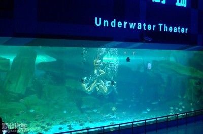 泰安水族馆vs祥龙鱼场（泰安水族馆与祥龙鱼场各有侧重） 全国水族馆企业名录 第2张