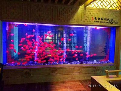 潮州水族馆vs祥龙鱼场（潮州水族馆和祥龙鱼场） 全国水族馆企业名录 第2张