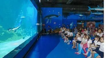 惠州水族馆vs祥龙鱼场（惠州水族馆与祥龙鱼场之间的区别） 全国水族馆企业名录 第5张