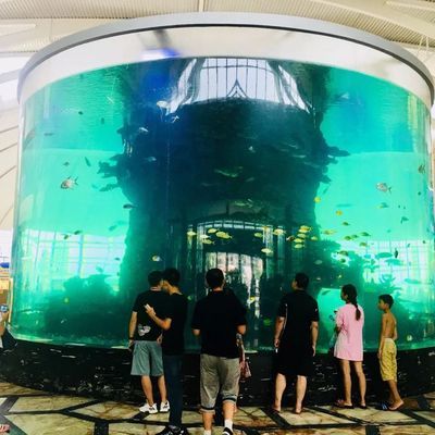 惠州水族馆vs祥龙鱼场（惠州水族馆与祥龙鱼场之间的区别） 全国水族馆企业名录 第3张