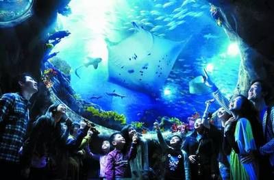 柳州水族馆vs祥龙鱼场（探讨柳州水族馆与祥龙鱼场之间的差异，我们需要明确两者的主要业务和特点）