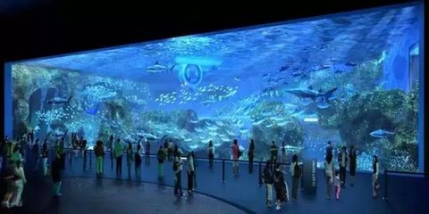 德阳水族馆vs祥龙鱼场（德阳水族馆和祥龙鱼场有什么区别？） 全国水族馆企业名录 第1张