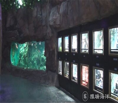 四平水族馆vs祥龙鱼场（四平水族馆与祥龙鱼场的区别） 全国水族馆企业名录 第3张