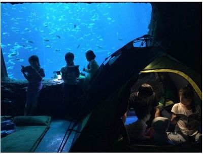 南昌水族馆vs祥龙鱼场（南昌水族馆与祥龙鱼场的区别） 全国水族馆企业名录 第1张