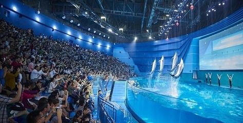 南昌水族馆vs祥龙鱼场（南昌水族馆与祥龙鱼场的区别） 全国水族馆企业名录 第5张