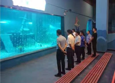 邵阳水族馆vs祥龙鱼场（邵阳水族馆与祥龙鱼场的区别） 全国水族馆企业名录 第1张