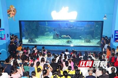 邵阳水族馆vs祥龙鱼场（邵阳水族馆与祥龙鱼场的区别） 全国水族馆企业名录 第2张