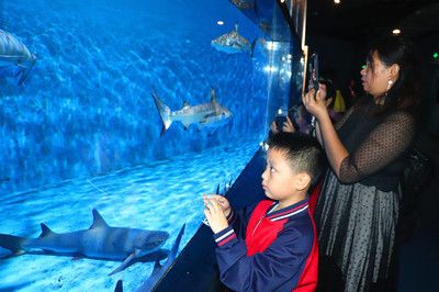 邵阳水族馆vs祥龙鱼场（邵阳水族馆与祥龙鱼场的区别） 全国水族馆企业名录 第4张