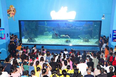 邵阳水族馆vs祥龙鱼场（邵阳水族馆与祥龙鱼场的区别） 全国水族馆企业名录 第5张