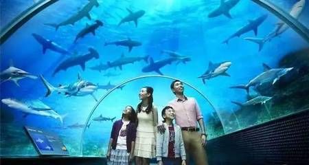 徐州水族馆vs祥龙鱼场（徐州水族馆与祥龙鱼场各有特色） 全国水族馆企业名录 第1张