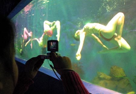 南通水族馆vs祥龙鱼场（南通水族馆和祥龙鱼场各有其特色和优势） 全国水族馆企业名录 第5张