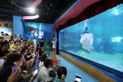 南通水族馆vs祥龙鱼场（南通水族馆和祥龙鱼场各有其特色和优势） 全国水族馆企业名录 第1张