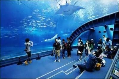 郑州水族馆vs祥龙鱼场（探讨郑州水族馆与祥龙鱼场之间的差异之前需要明确两者的主要业务和特色） 全国水族馆企业名录 第1张