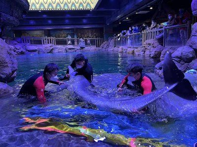 郑州水族馆vs祥龙鱼场（探讨郑州水族馆与祥龙鱼场之间的差异之前需要明确两者的主要业务和特色） 全国水族馆企业名录 第3张