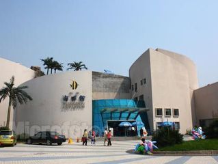 郑州水族馆vs祥龙鱼场（探讨郑州水族馆与祥龙鱼场之间的差异之前需要明确两者的主要业务和特色） 全国水族馆企业名录 第5张